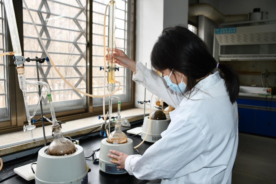 一年之計在于春，青春奮斗正當時——醫(yī)養(yǎng)健康集團