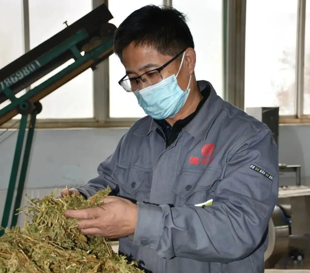 【向下扎根，向上生長(zhǎng)】孫吉民：20年堅(jiān)持做一件事